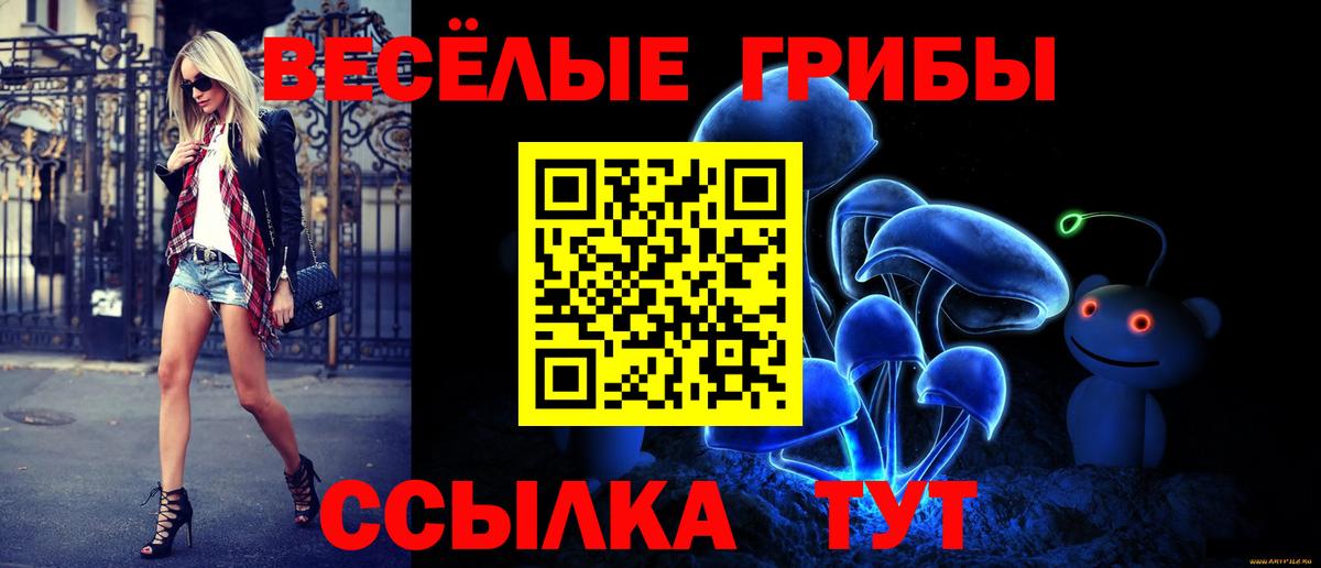 Псилоцибиновые грибы ЛСД Кимовск
