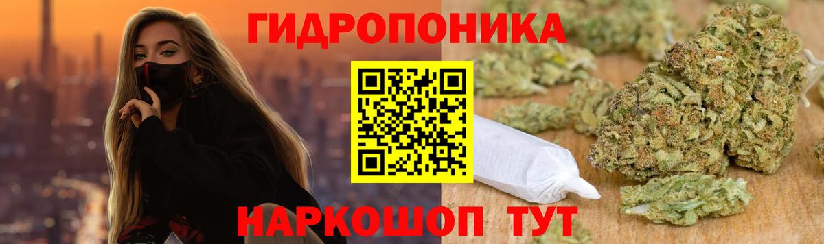 Шишки марихуана конопля  Каннабис марихуана  Кимовск  Вход с VPN  МАРИХУАНА сатива  Бошки Шишки LSD WEED 